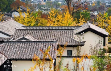 绿城生活科技
