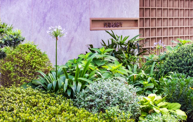 春风再起，我们一起“种”未来