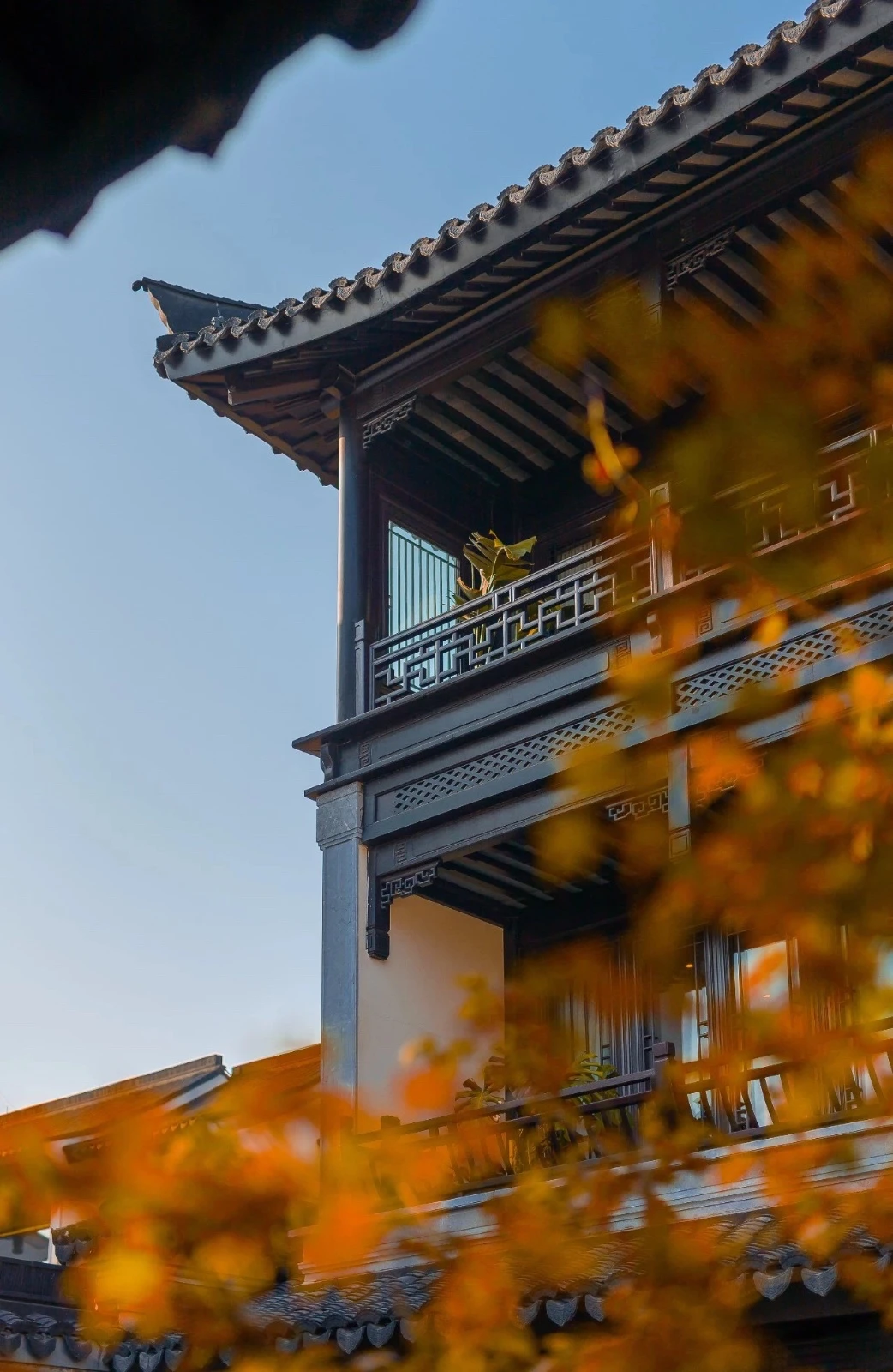 绿城 · 杭州西溪雲庐3.webp