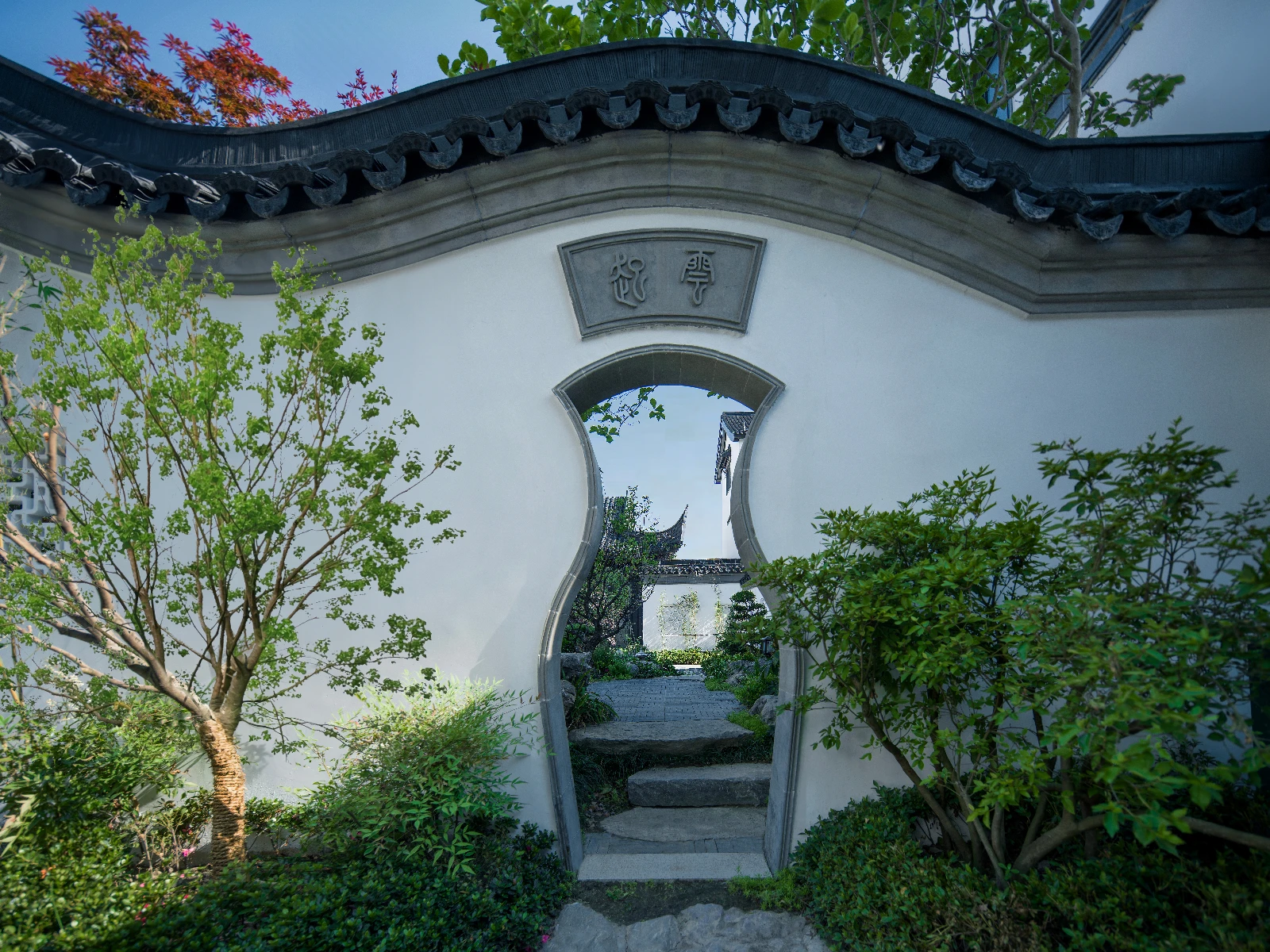 B0016330 拷贝.webp