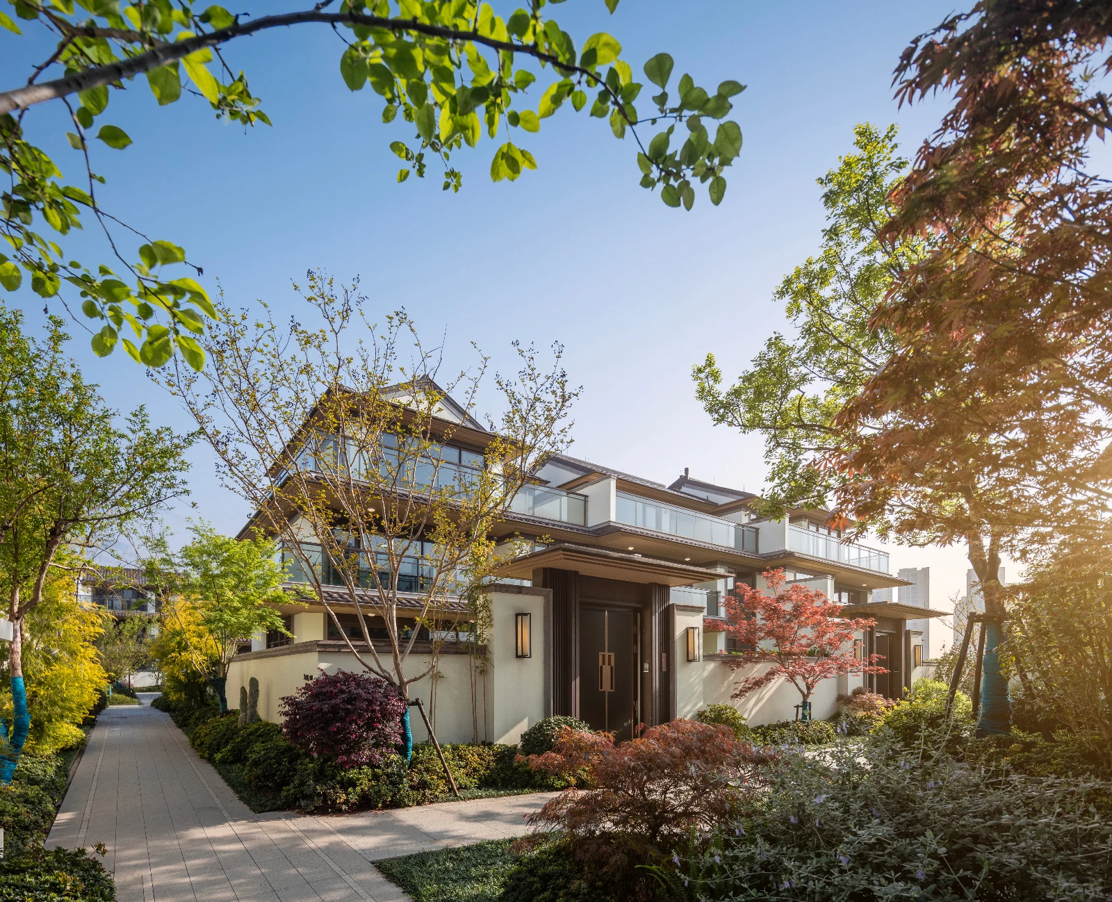 IMGL4433-Pano 拷贝.webp